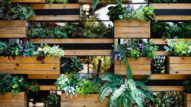 Una pared de maceteros y plantas.